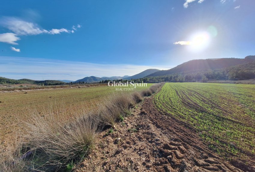 Wiederverkauf - GRUNDSTÜCK -
MONÓVAR - Monovar