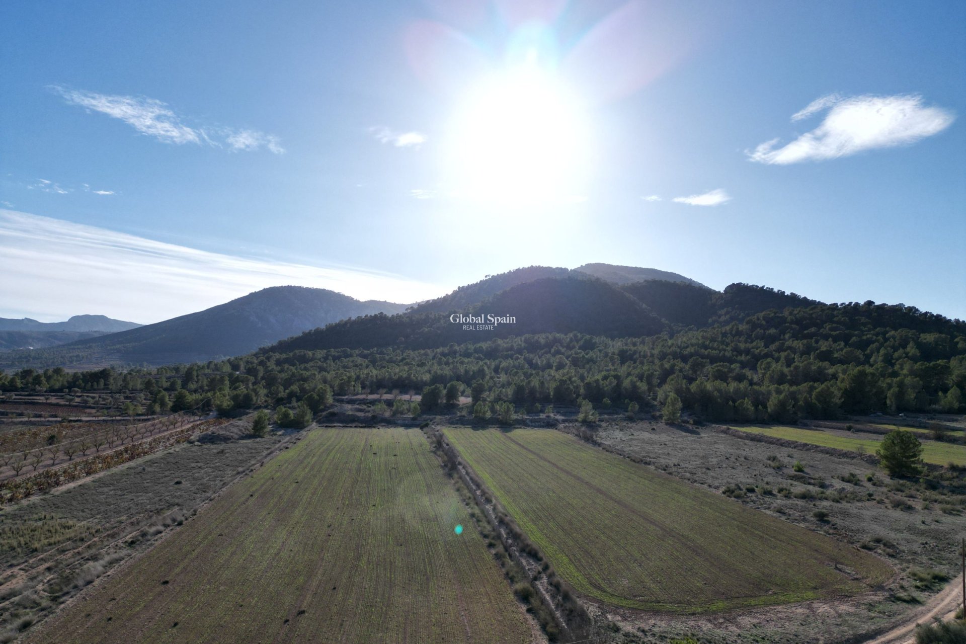 Wiederverkauf - GRUNDSTÜCK -
MONÓVAR - Monovar