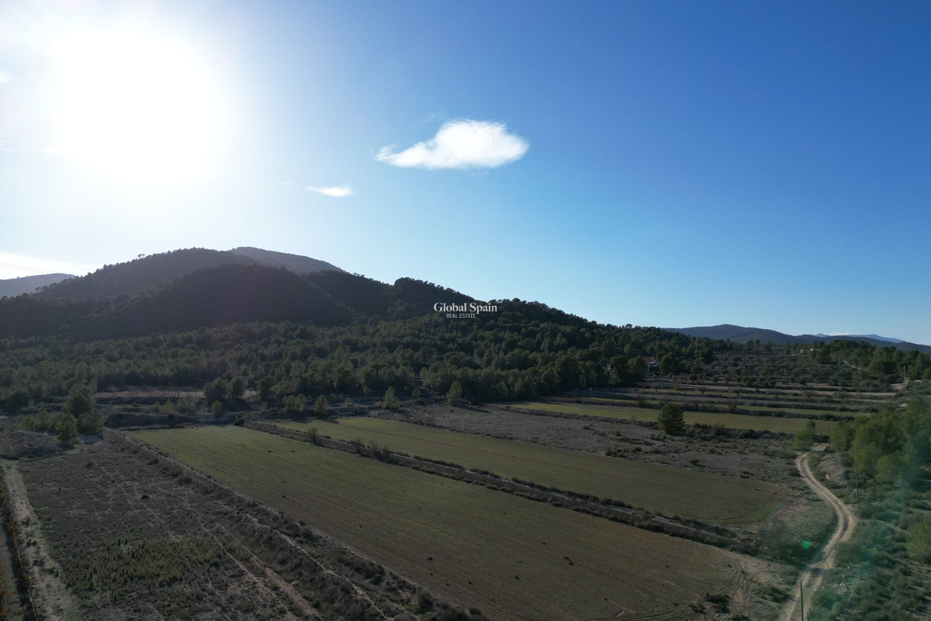 Wiederverkauf - GRUNDSTÜCK -
MONÓVAR - Monovar