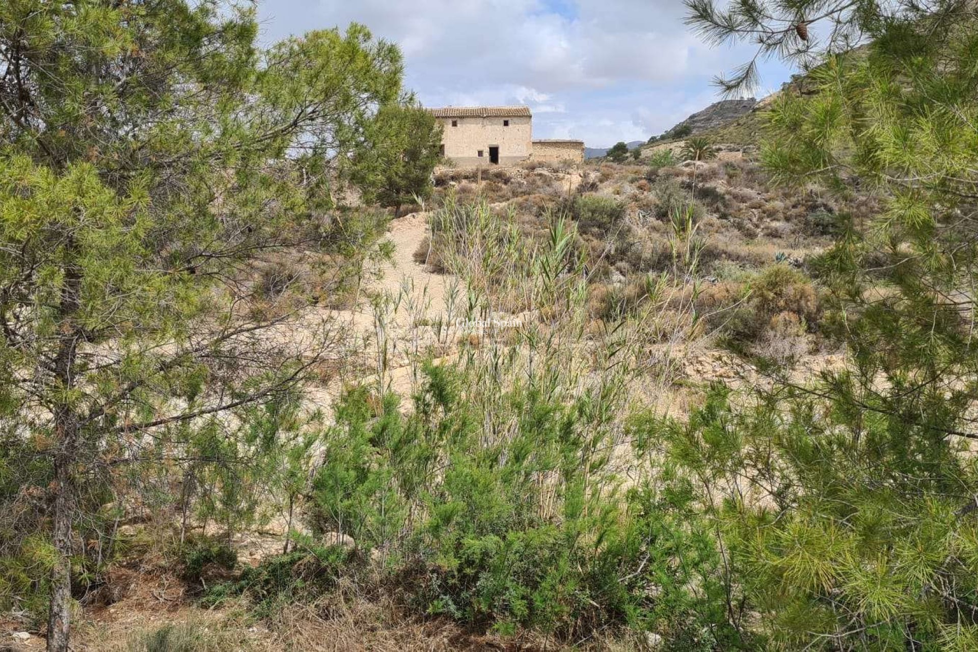Wiederverkauf - GRUNDSTÜCK -
MURCIA - Abanilla