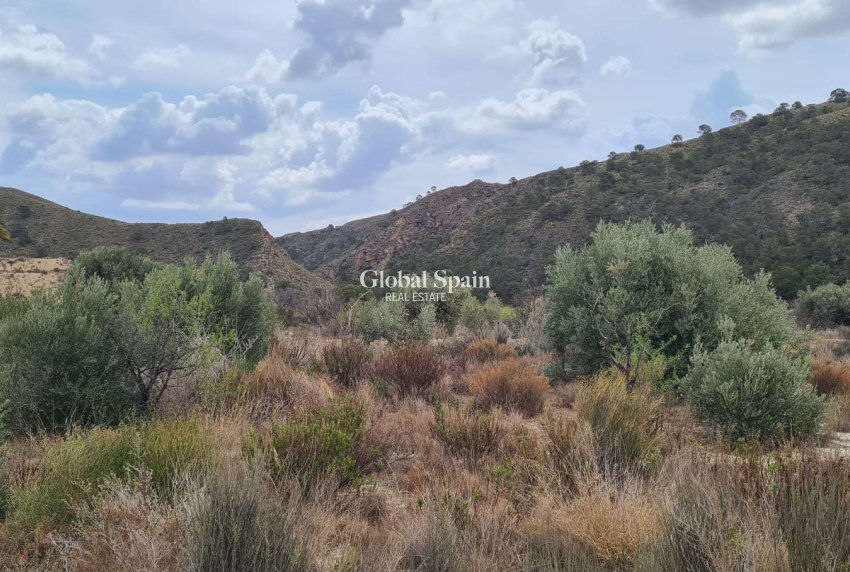 Wiederverkauf - GRUNDSTÜCK -
MURCIA - Abanilla