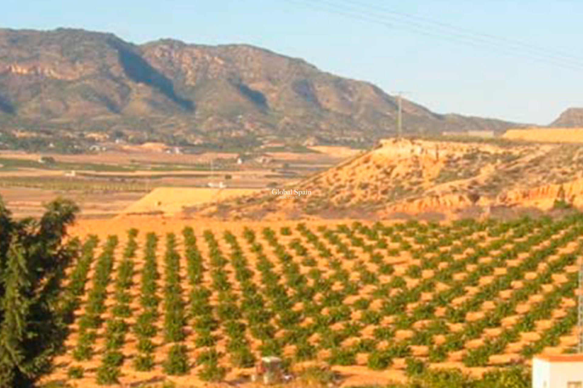 Wiederverkauf - GRUNDSTÜCK -
TORRE PACHECO - Inland