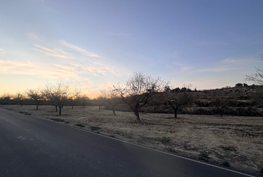 Wiederverkauf - GRUNDSTÜCK -
Torremendo - Costa Blanca
