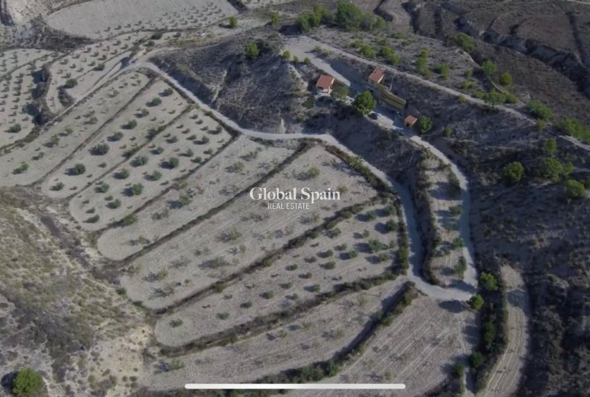 Wiederverkauf - HAUS -
ABANILLA - El Partidor