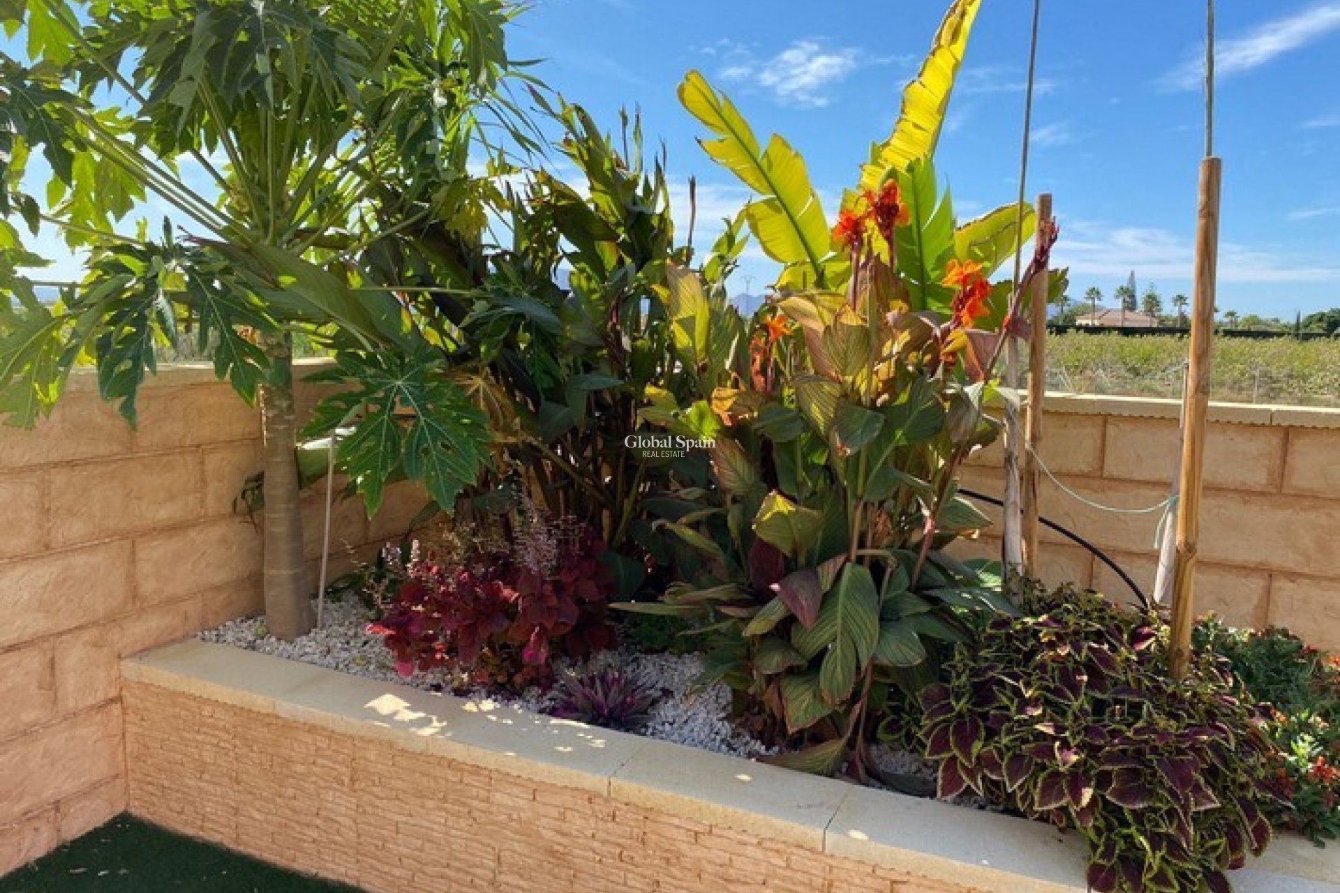 Wiederverkauf - HAUS -
ALBATERA - Inland