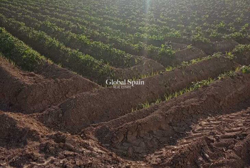 Wiederverkauf - HAUS -
ARNEVA - LOS DESAMPARADOS