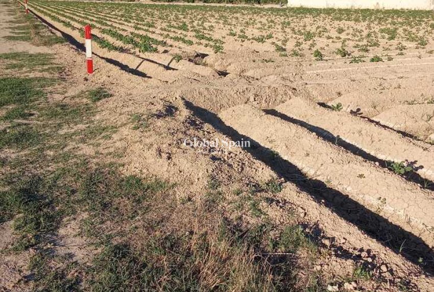 Wiederverkauf - HAUS -
ARNEVA - LOS DESAMPARADOS