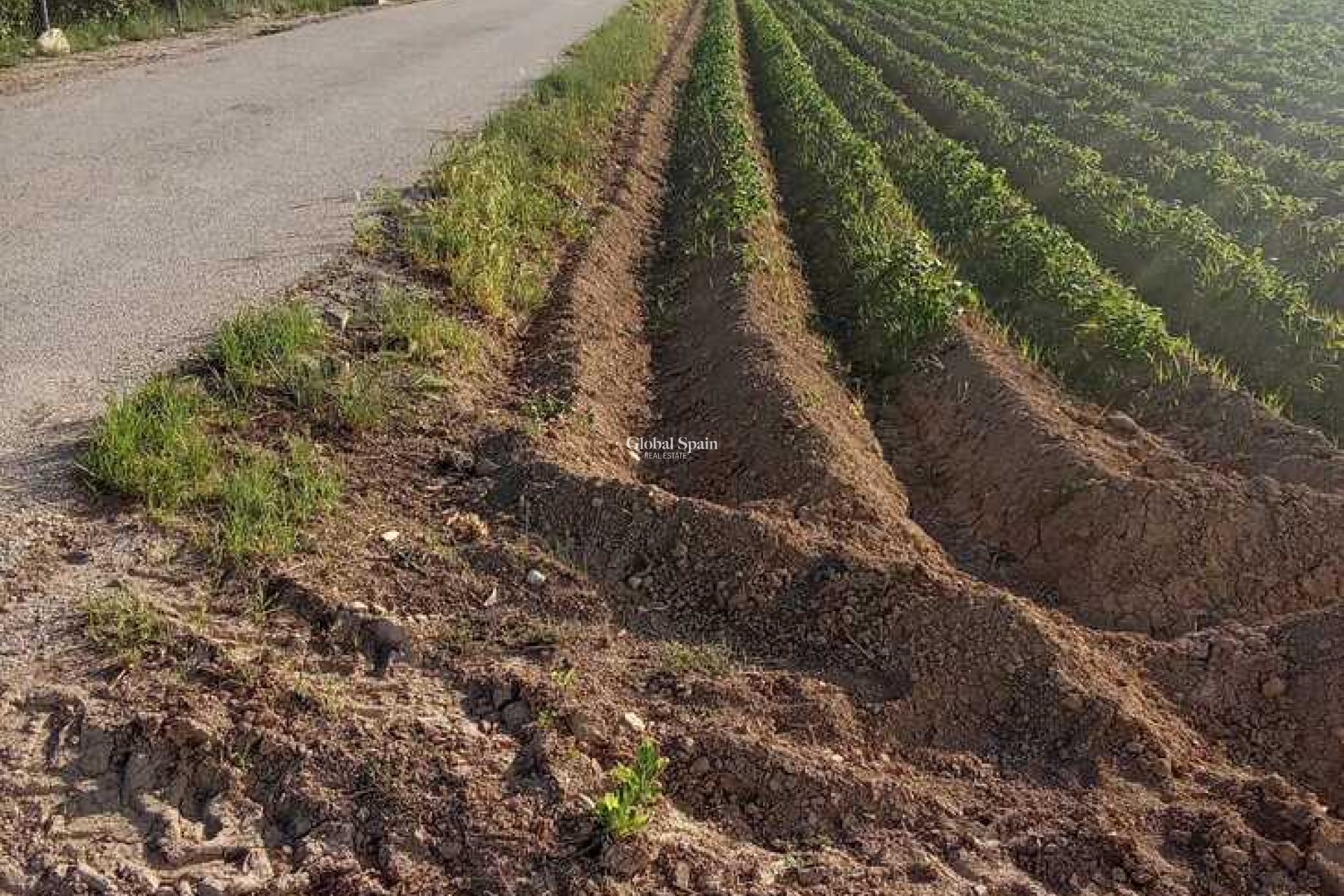 Wiederverkauf - HAUS -
ARNEVA - LOS DESAMPARADOS