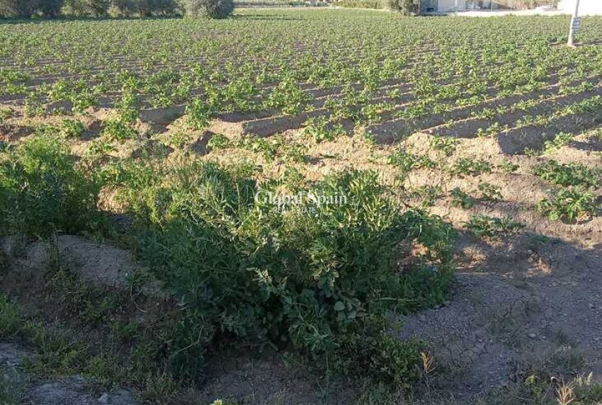 Wiederverkauf - HAUS -
ARNEVA - LOS DESAMPARADOS