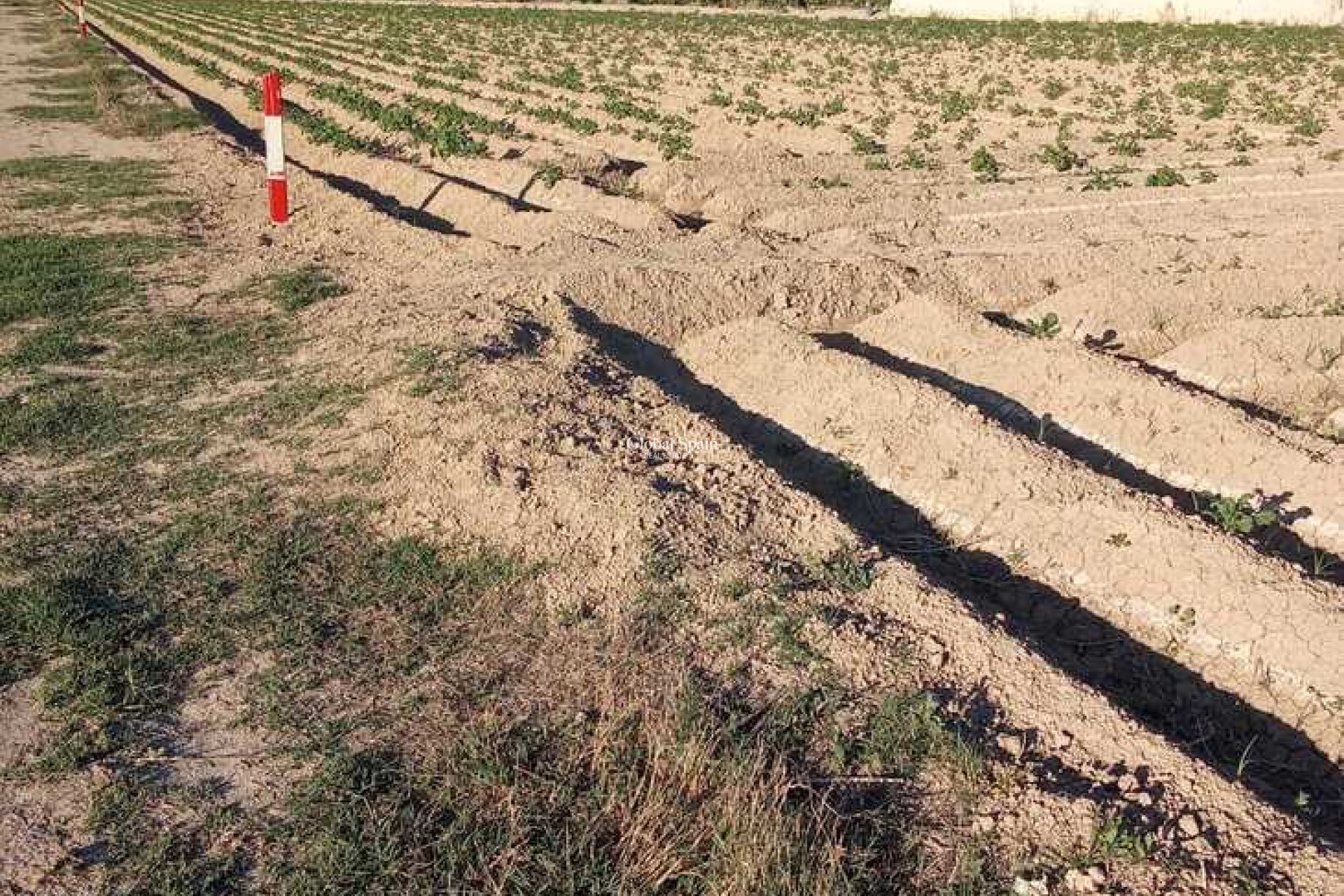 Wiederverkauf - HAUS -
ARNEVA - LOS DESAMPARADOS