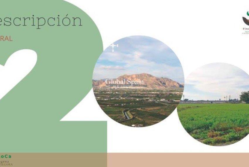 Wiederverkauf - HAUS -
CALLOSA DEL SEGURA