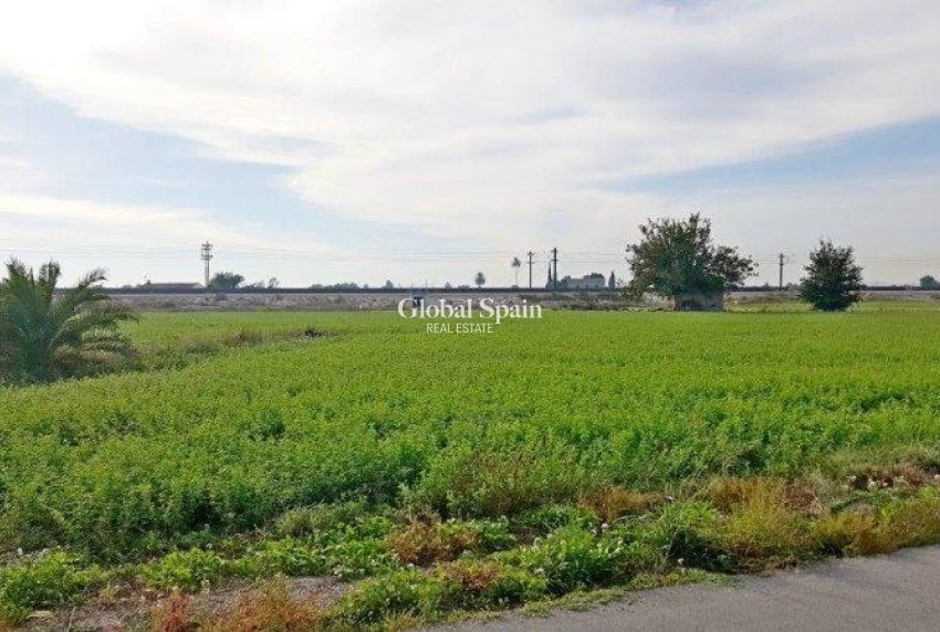 Wiederverkauf - HAUS -
CALLOSA DEL SEGURA