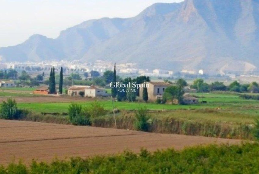 Wiederverkauf - HAUS -
CALLOSA DEL SEGURA