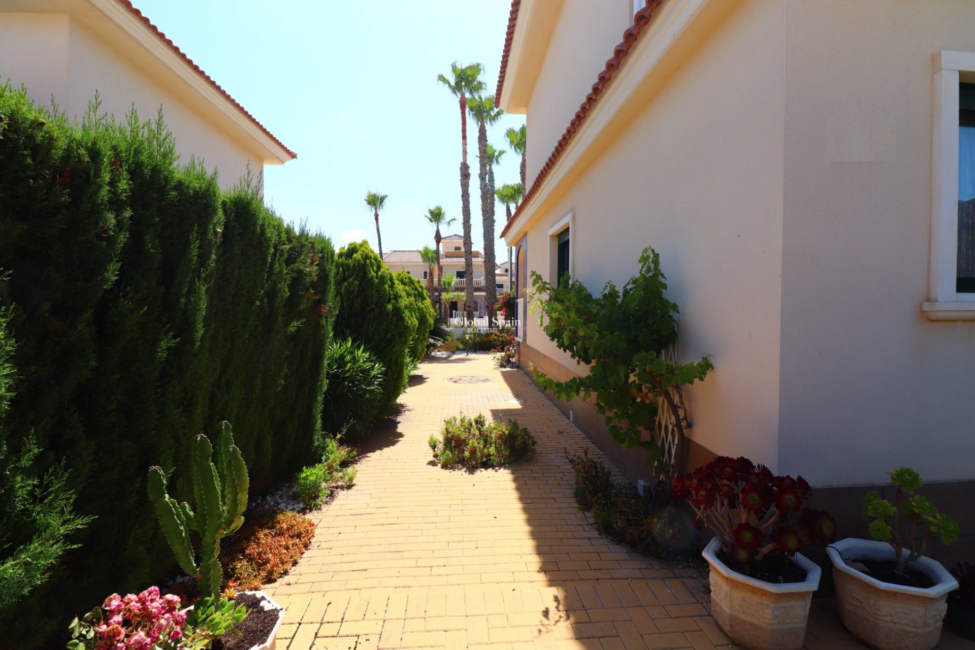 Wiederverkauf - HAUS -
Ciudad Quesada - Doña Pepa