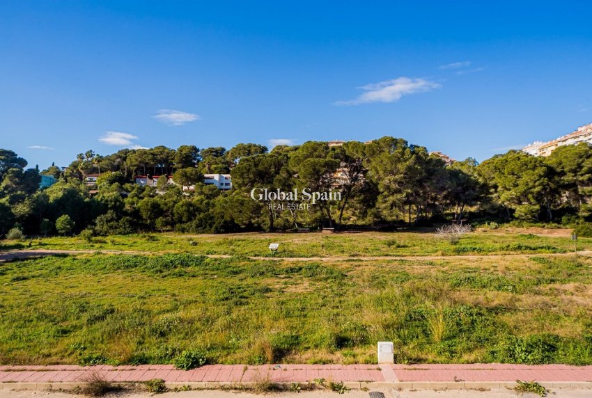 Wiederverkauf - HAUS -
DEHESA DE CAMPOAMOR - Costa Blanca