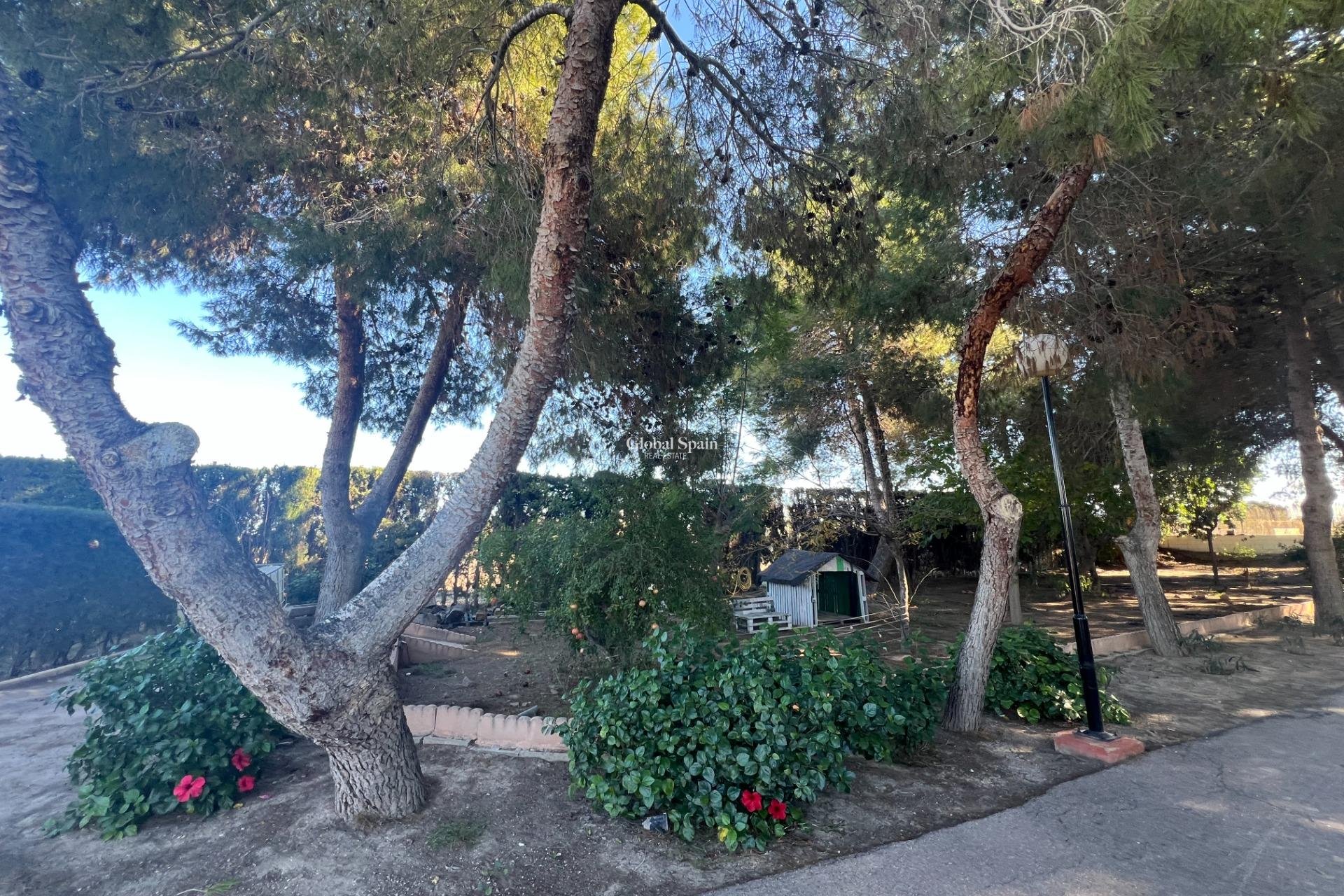 Wiederverkauf - HAUS -
DOLORES - Comunidad Valenciana