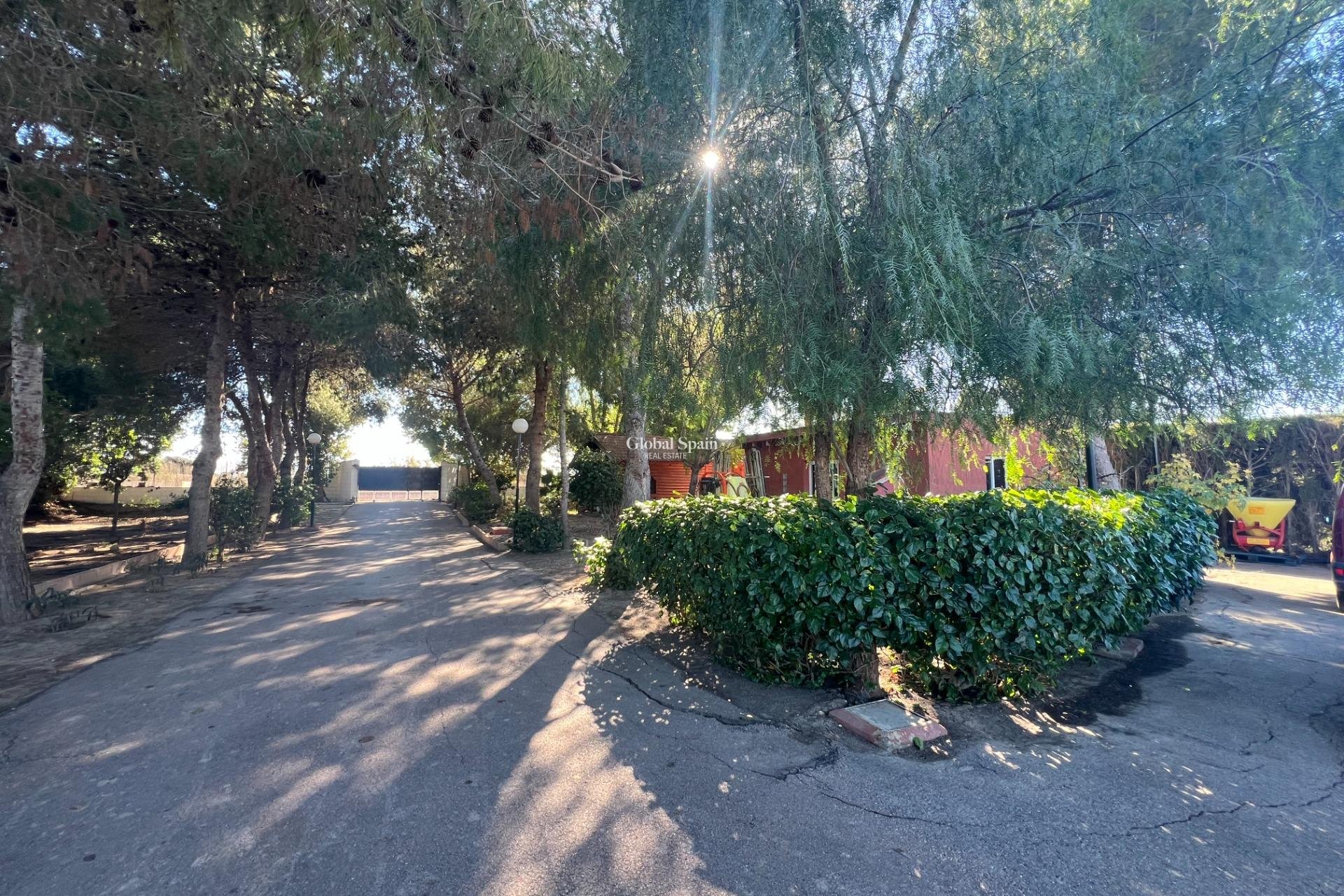 Wiederverkauf - HAUS -
DOLORES - Comunidad Valenciana