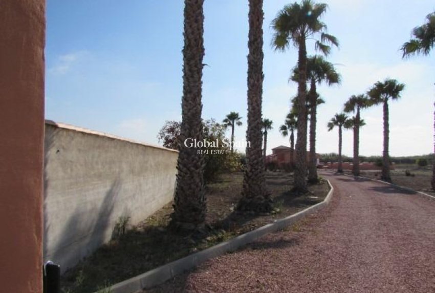 Wiederverkauf - HAUS -
DOLORES - Comunidad Valenciana
