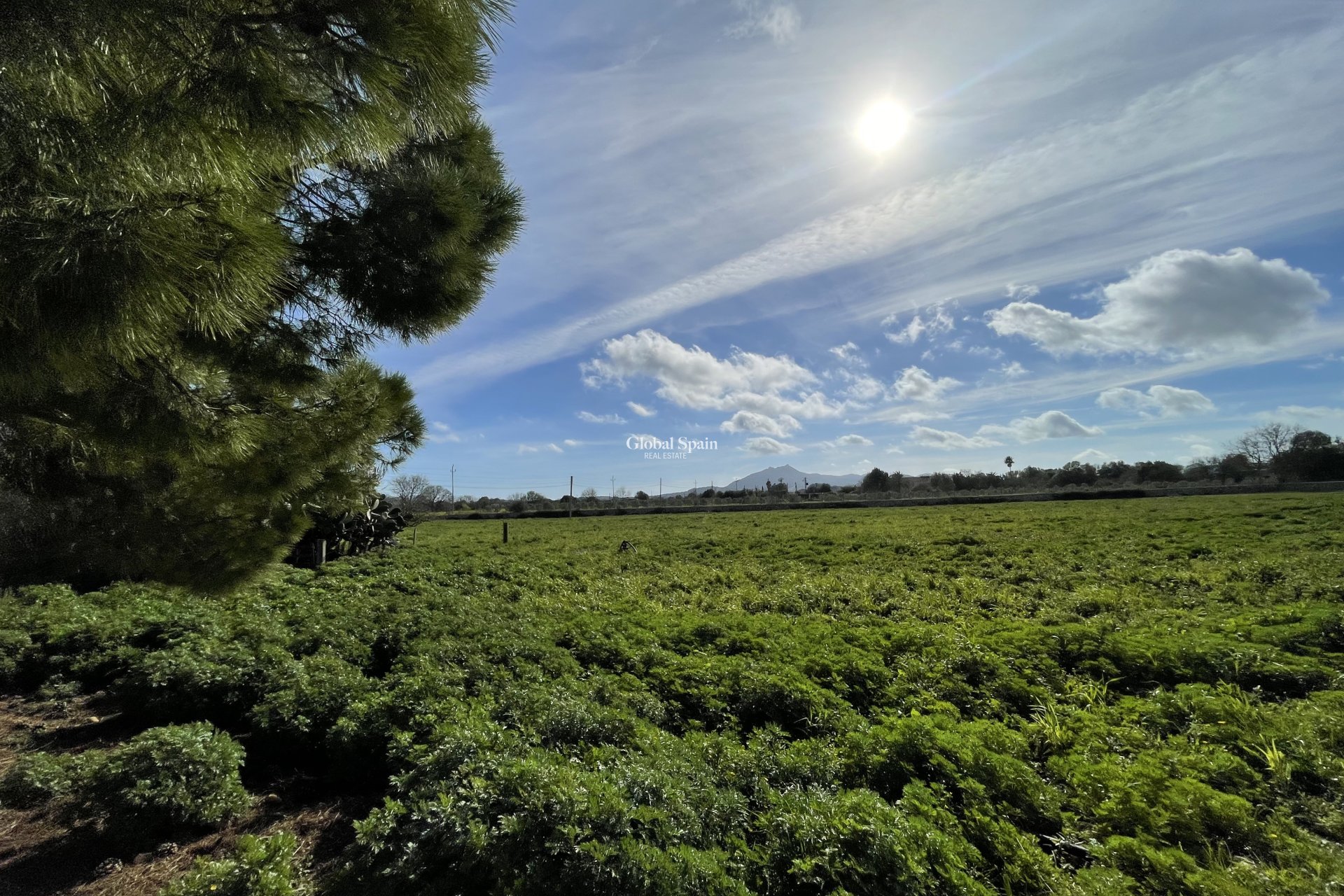 Wiederverkauf - HAUS -
Felanitx - optional location detail