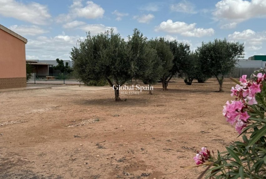 Wiederverkauf - HAUS -
FUENTE ÁLAMO DE MURCIA - Inland