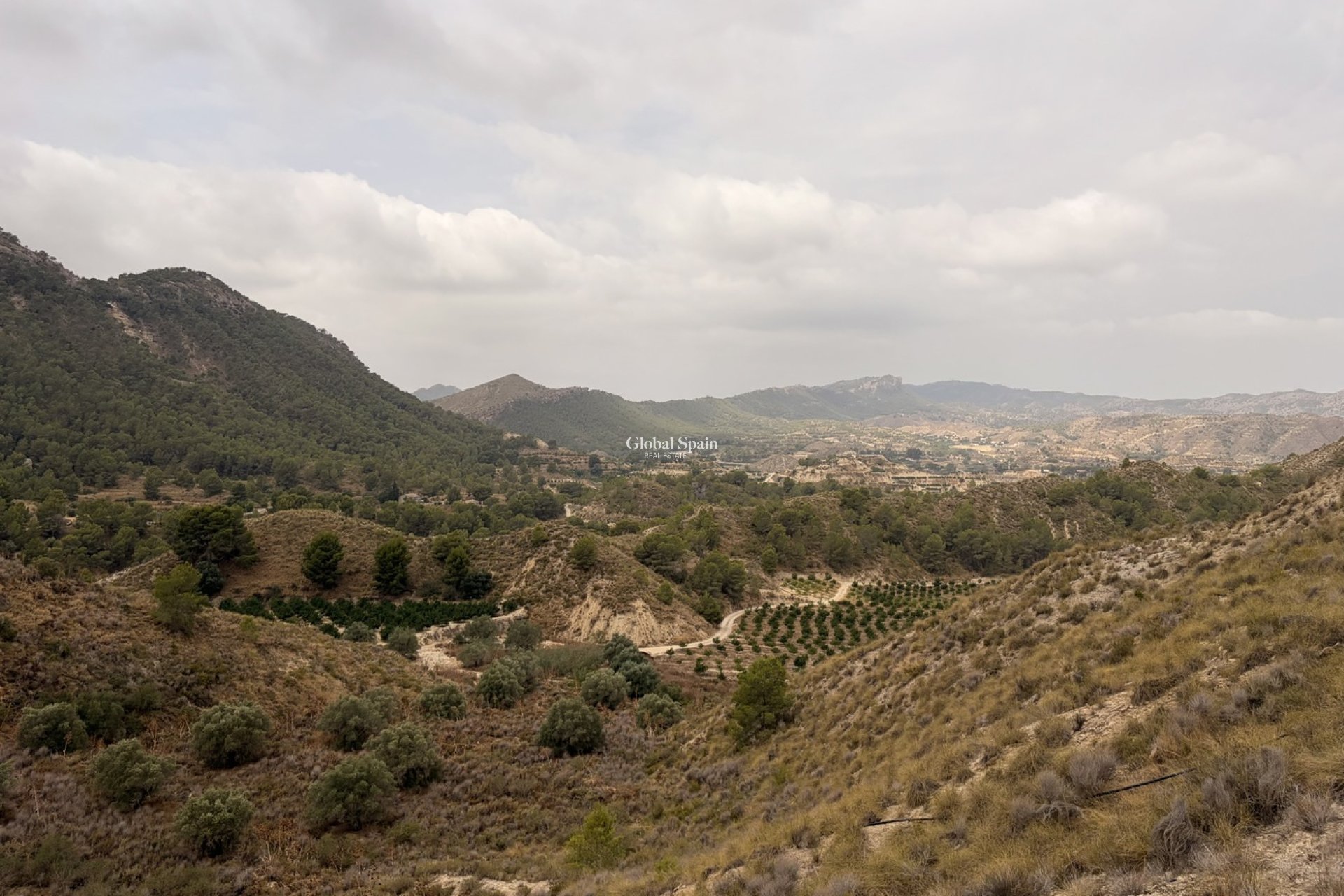 Wiederverkauf - HAUS -
GEA Y TRUYOLS - Sierra de Columbares Natural Park