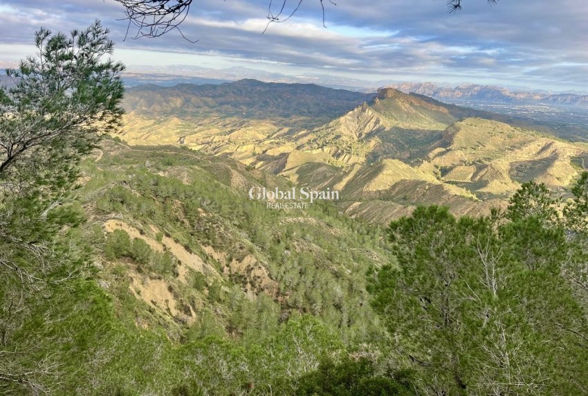 Wiederverkauf - HAUS -
GEA Y TRUYOLS - Sierra de Columbares Natural Park