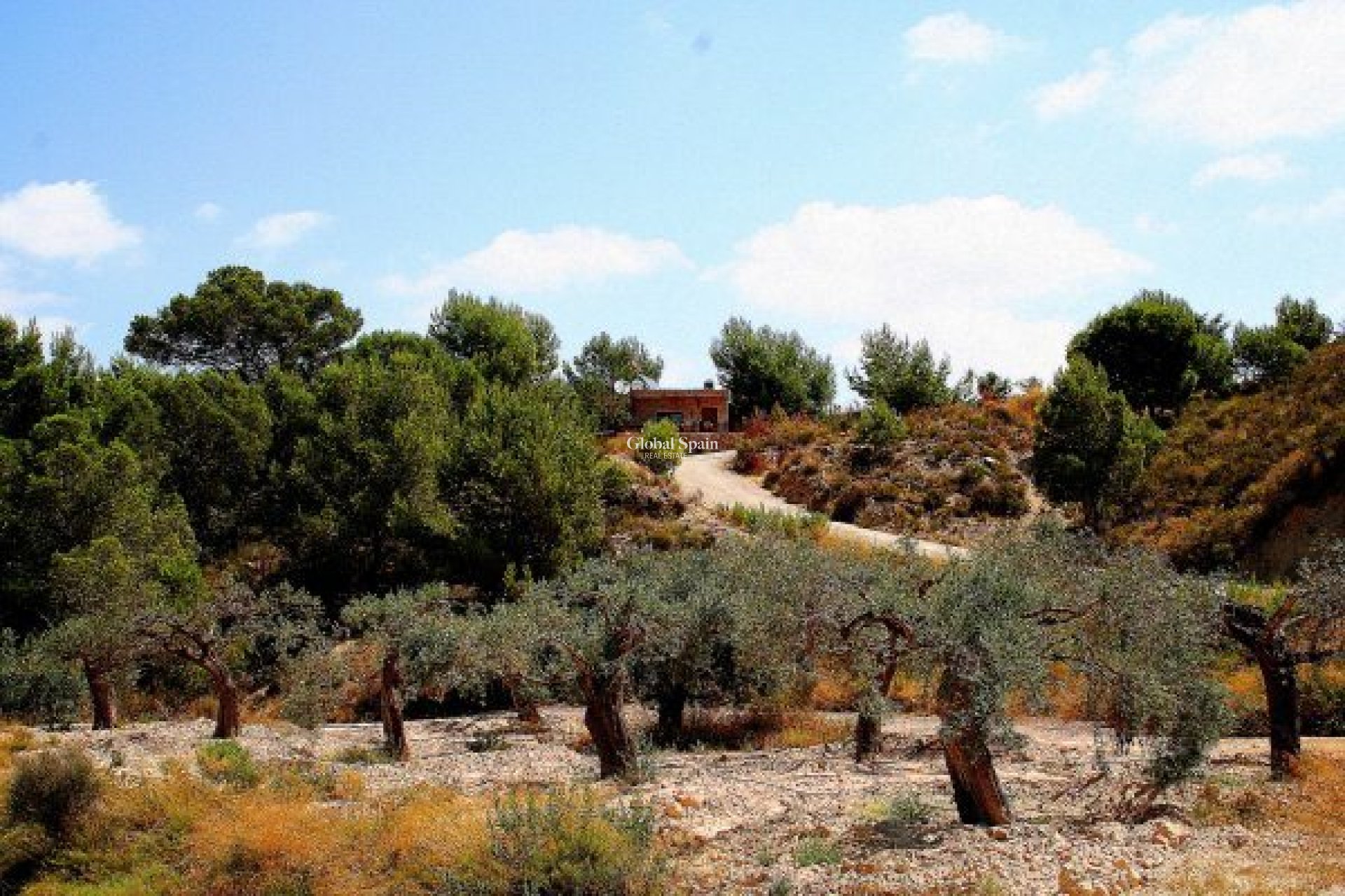 Wiederverkauf - HAUS -
GEA Y TRUYOLS - Sierra de Columbares Natural Park