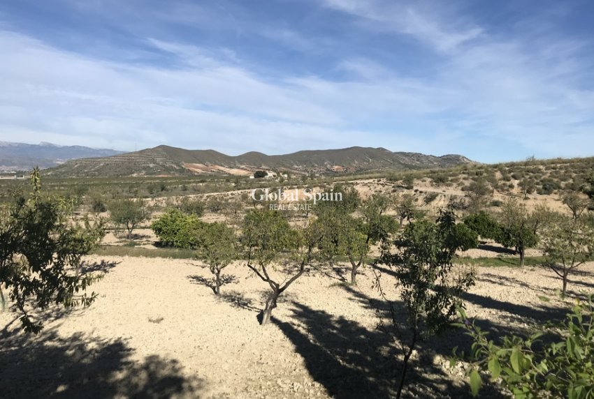 Wiederverkauf - HAUS -
LORCA - Costa Calida