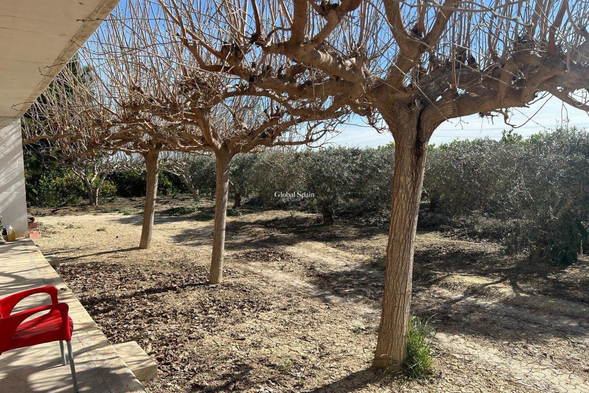 Wiederverkauf - HAUS -
LOS MONTESINOS - Comunidad Valenciana