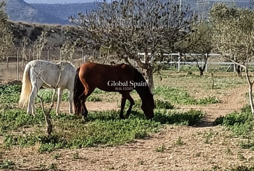 Wiederverkauf - HAUS -
MONÓVAR - Inland