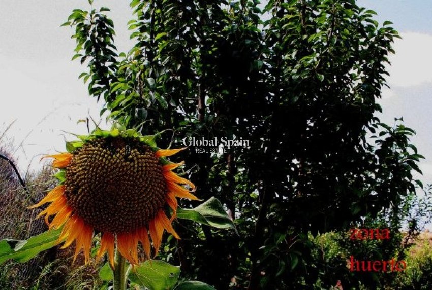 Wiederverkauf - HAUS -
MURCIA - Inland