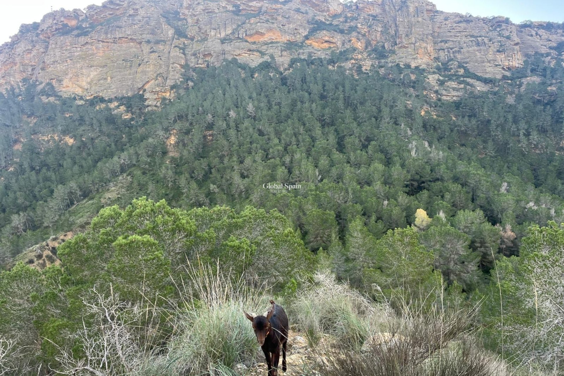 Wiederverkauf - HAUS -
MURCIA - Inland