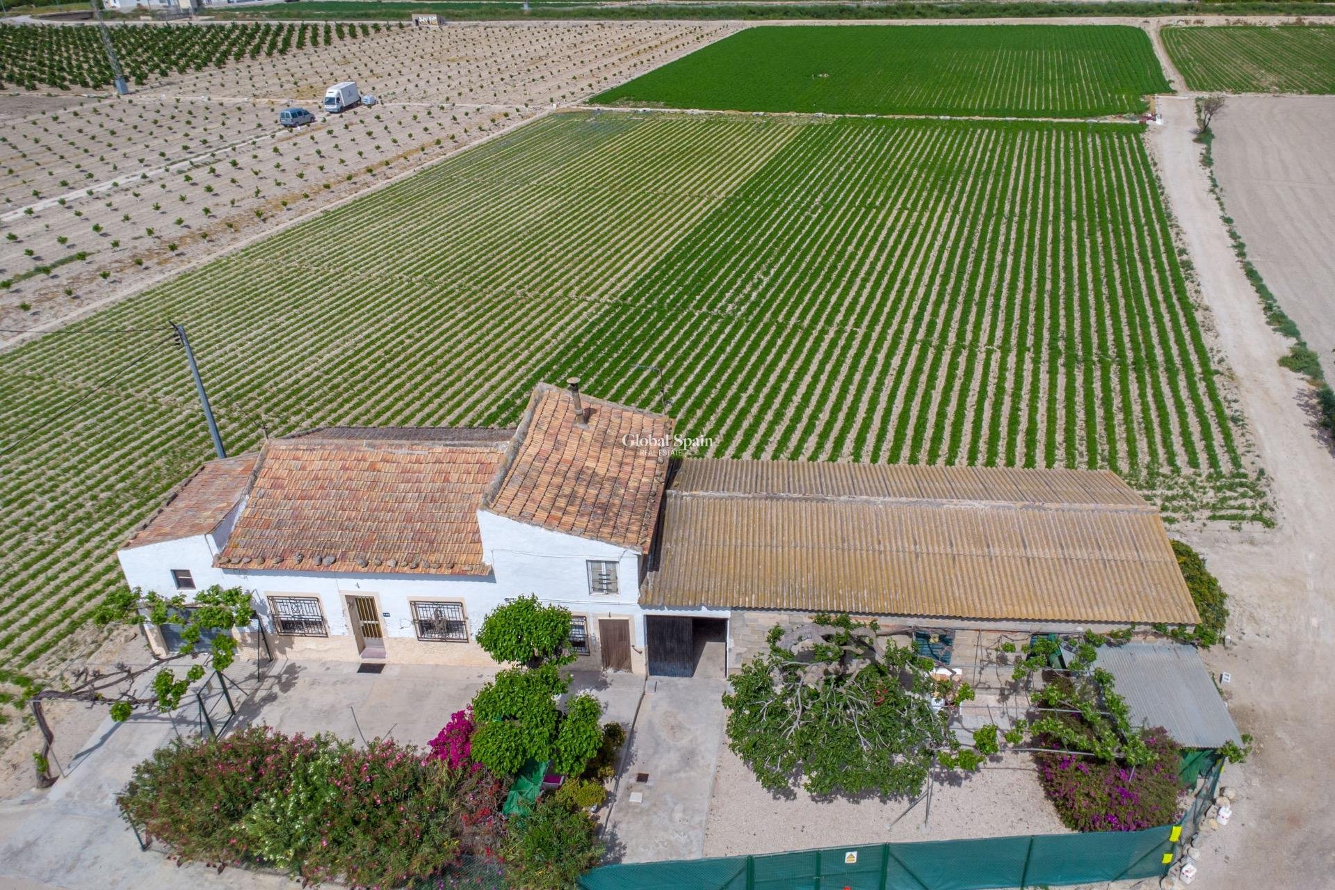 Wiederverkauf - HAUS -
ORIHUELA - Desamparados-hurchillo-torremendo