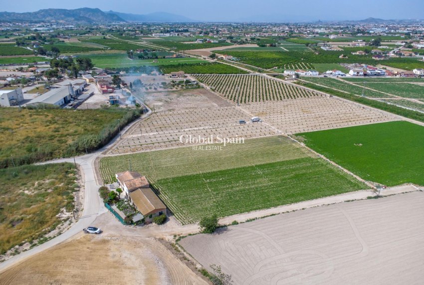 Wiederverkauf - HAUS -
ORIHUELA - Desamparados-hurchillo-torremendo