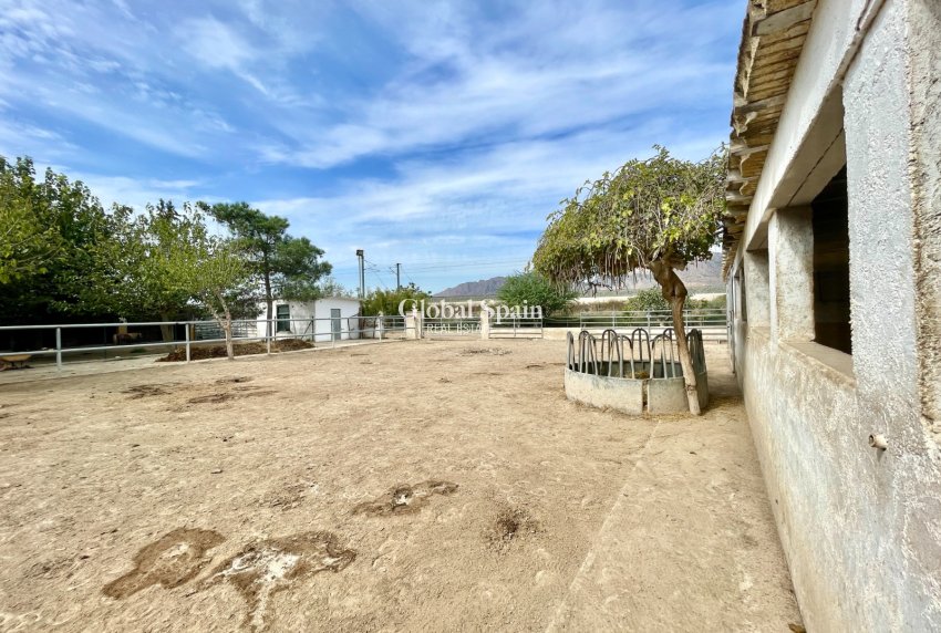 Wiederverkauf - HAUS -
ORIHUELA - Inland