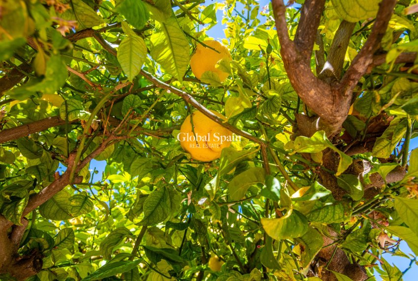 Wiederverkauf - Haus -
SAN FULGENCIO - urb.la marina