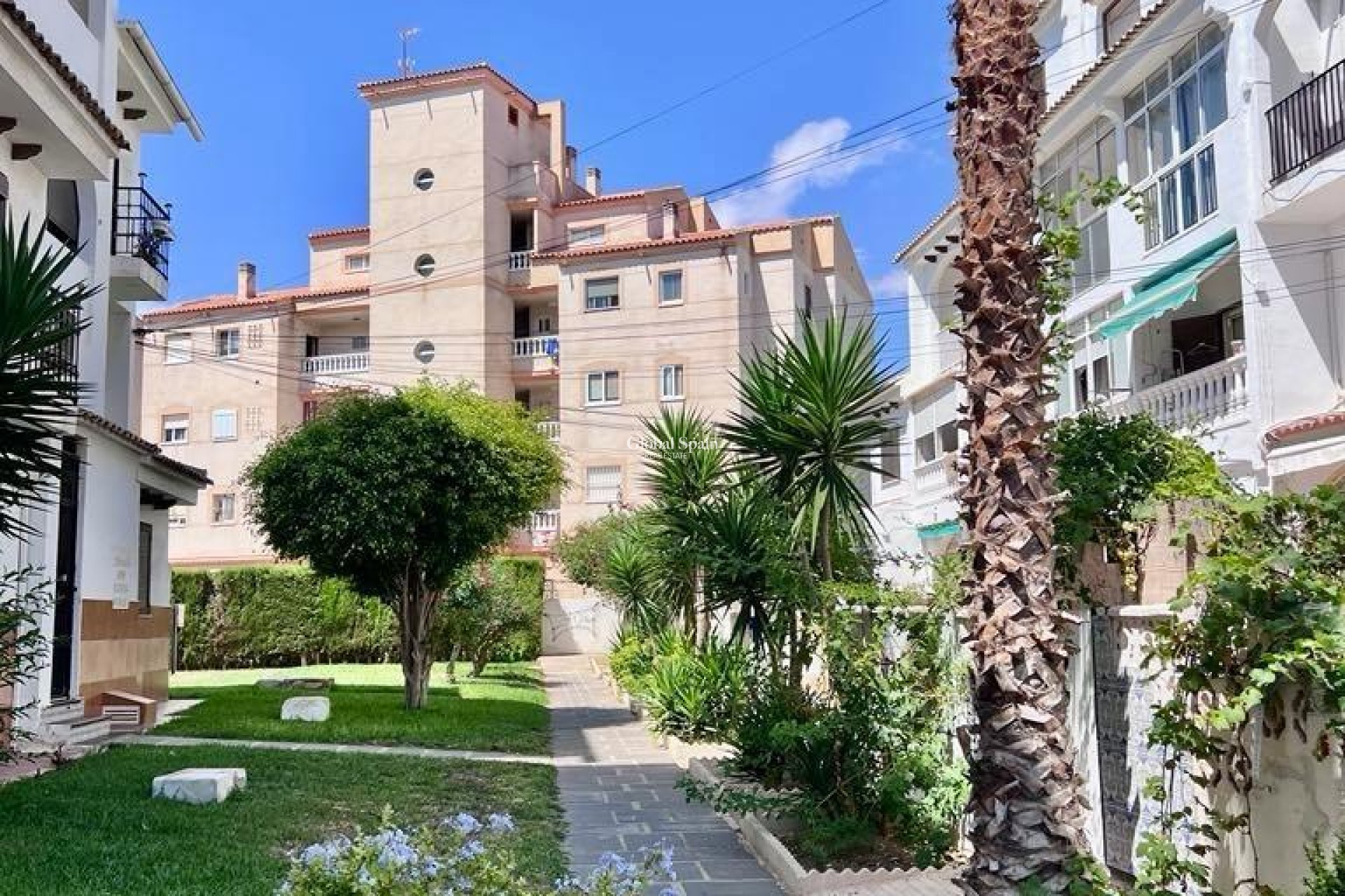Wiederverkauf - HAUS -
TORREVIEJA - Calas blanca