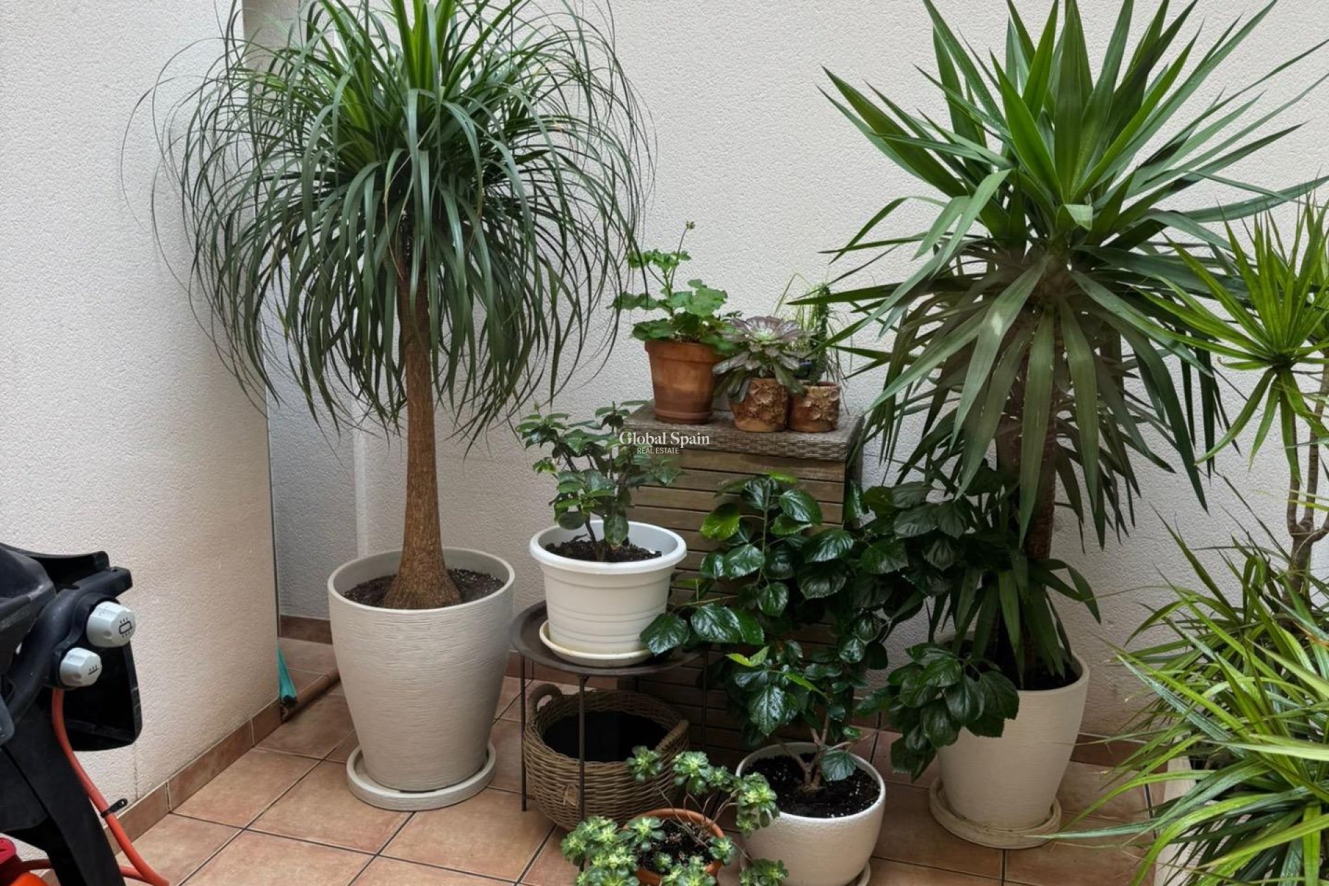 Wiederverkauf - HAUS -
TORREVIEJA - Punta Prima