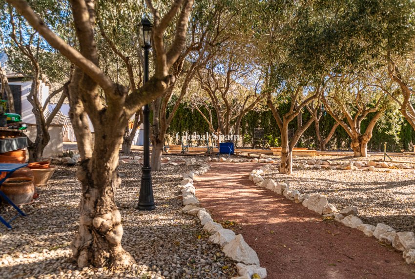 Wiederverkauf - Kommerziell -
Hondón de las Nieves