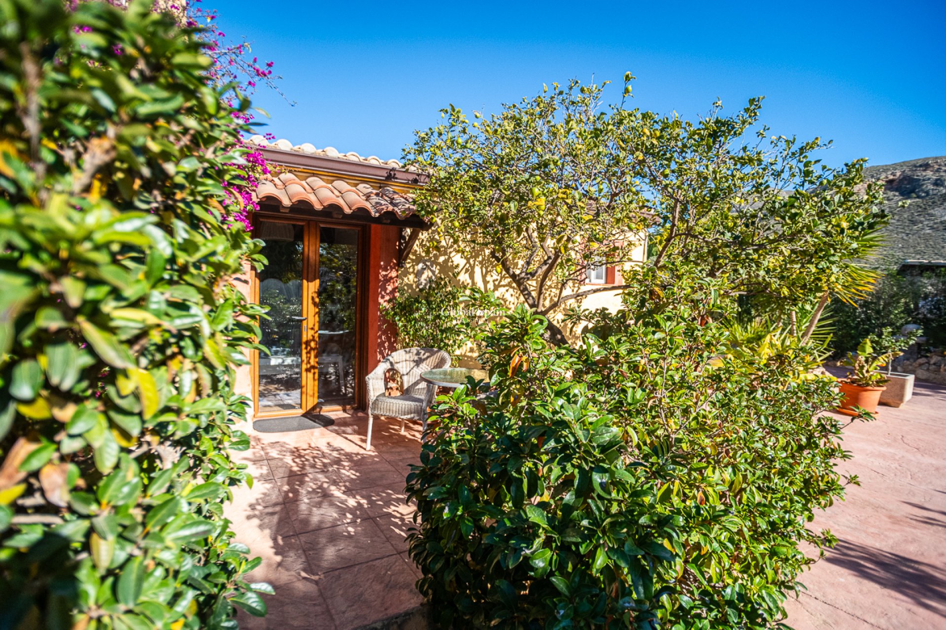 Wiederverkauf - Kommerziell -
Hondón de las Nieves