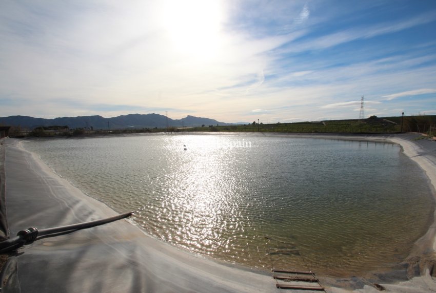 Wiederverkauf - Landimmobilie/Finca -
MURCIA - Costa Blanca Sur