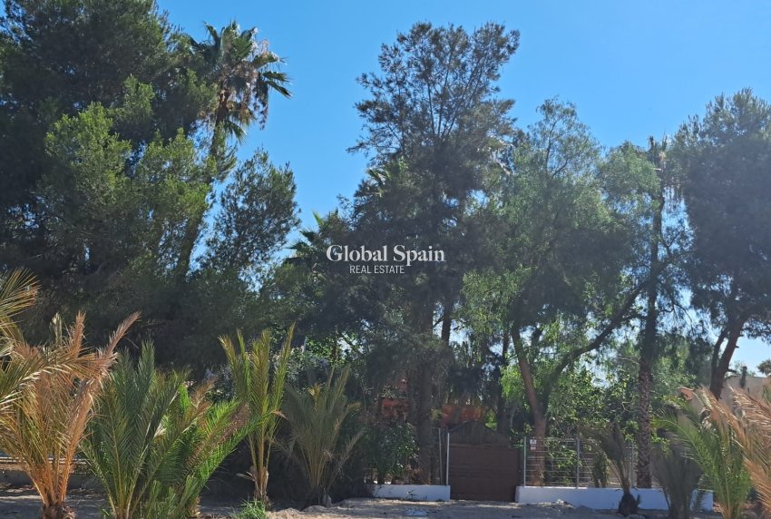 Wiederverkauf - Landimmobilie/Finca -
ORIHUELA