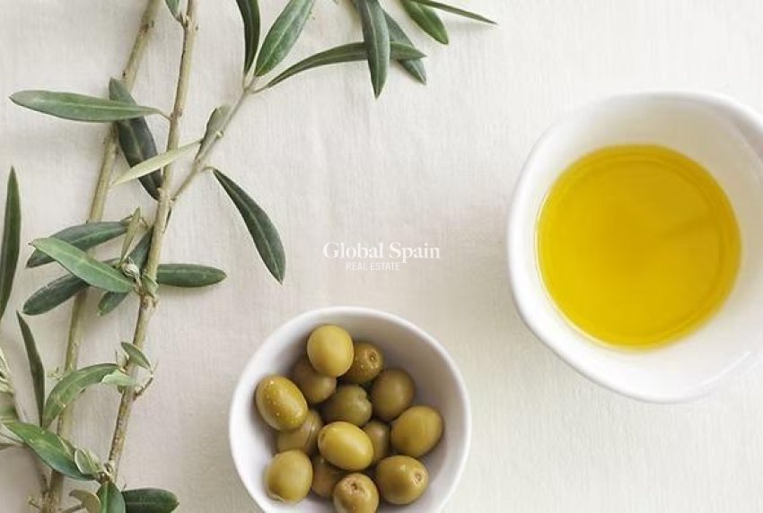 Wiederverkauf - Landland -
Murcia - Rincón de Seca