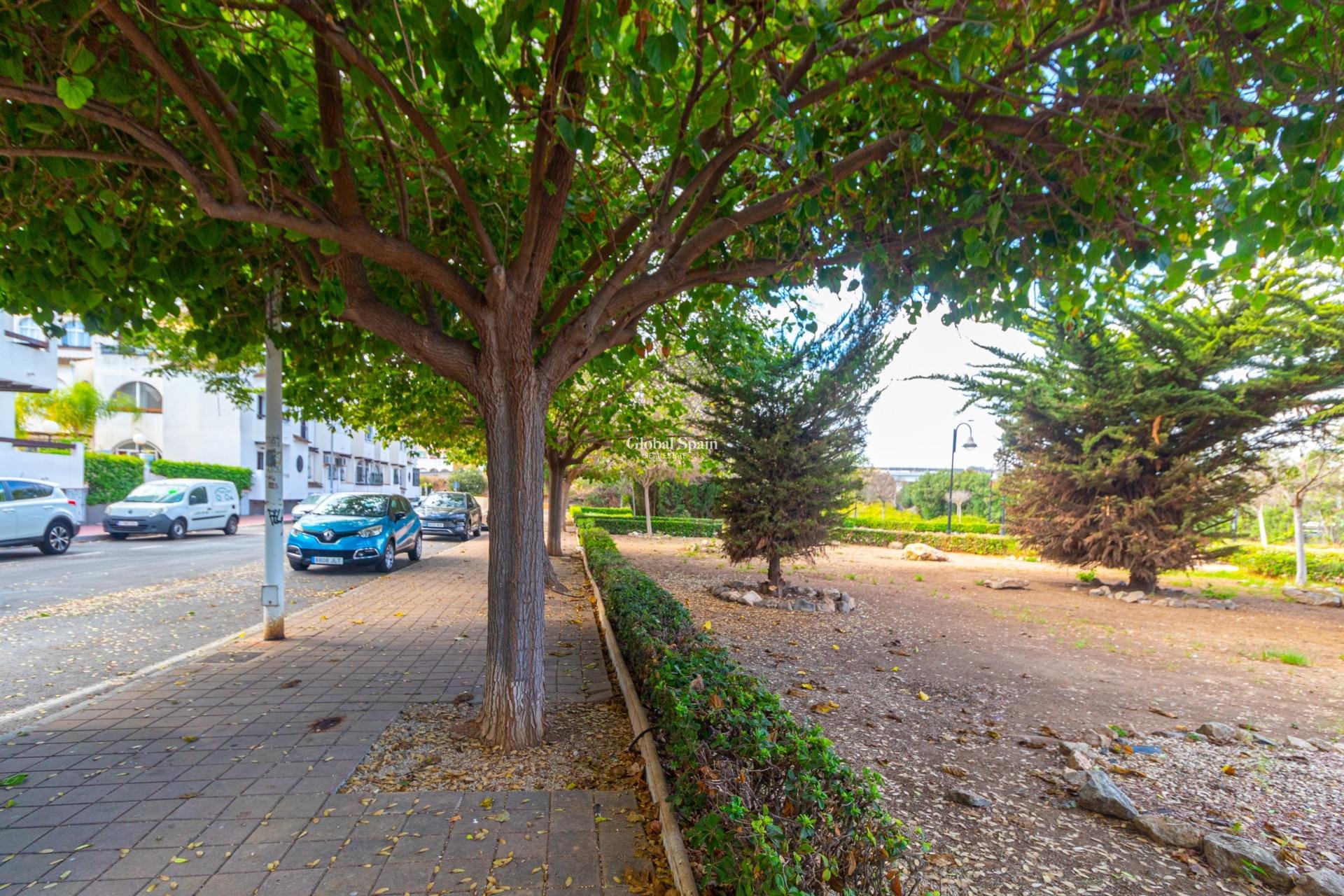 Wiederverkauf - Penthaus -
TORREVIEJA - Playa de los Naufragos