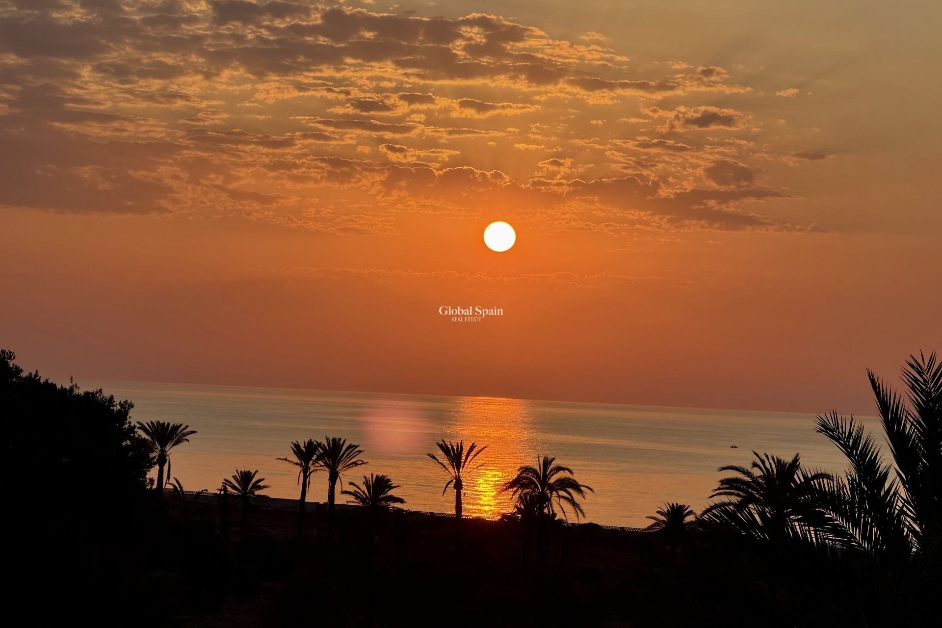 Wiederverkauf - PENTHOUSE -
SAN MIGUEL DE SALINAS - Inland