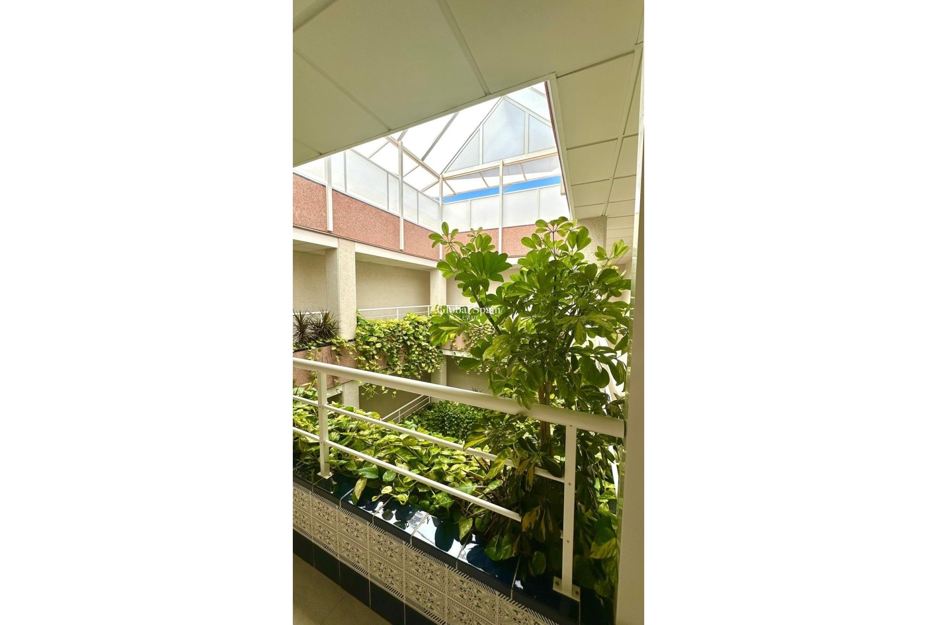 Wiederverkauf - PENTHOUSE -
TORREVIEJA - Center