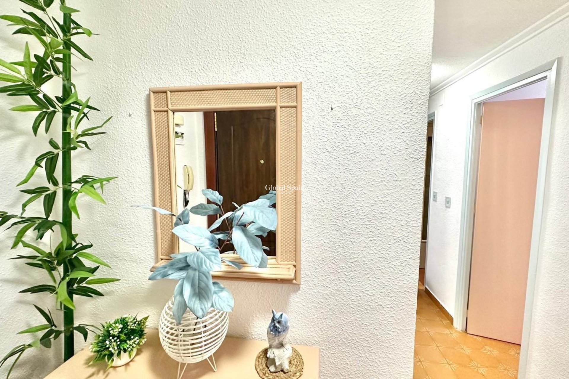 Wiederverkauf - PENTHOUSE -
TORREVIEJA - Center