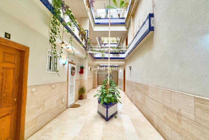 Wiederverkauf - PENTHOUSE -
TORREVIEJA - Center