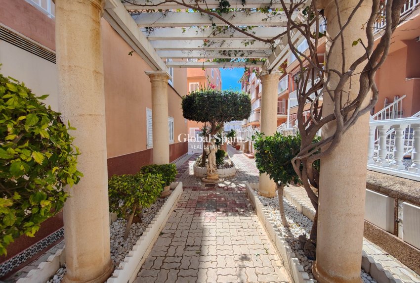 Wiederverkauf - PENTHOUSE -
TORREVIEJA - Costa Blanca