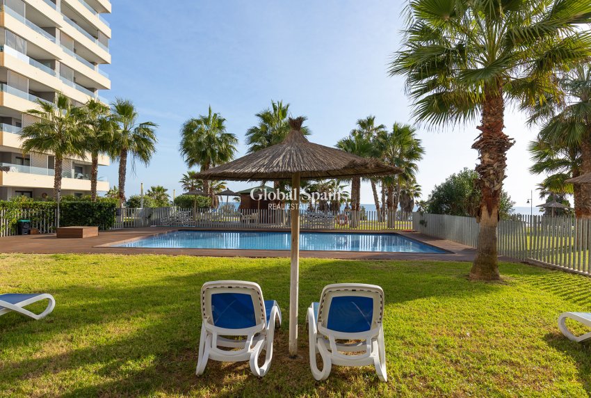Wiederverkauf - PENTHOUSE -
TORREVIEJA - Costa Blanca